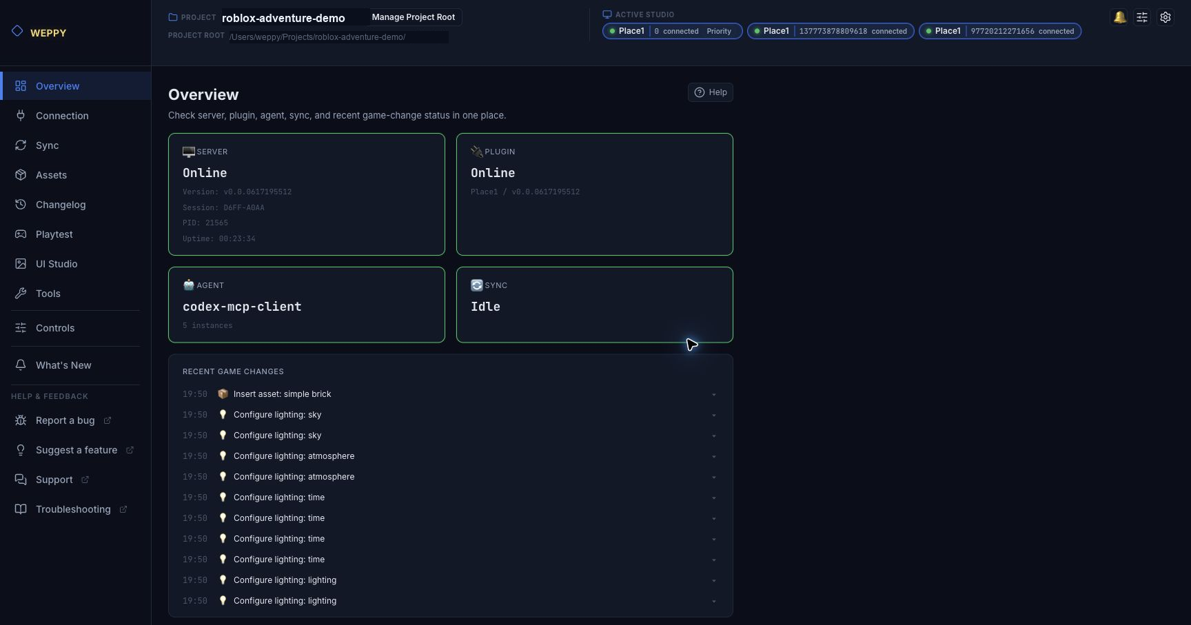 MCP server example